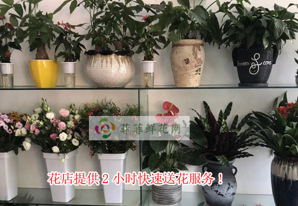 广州白云区花店提供广州白云区2小时快速送花服务